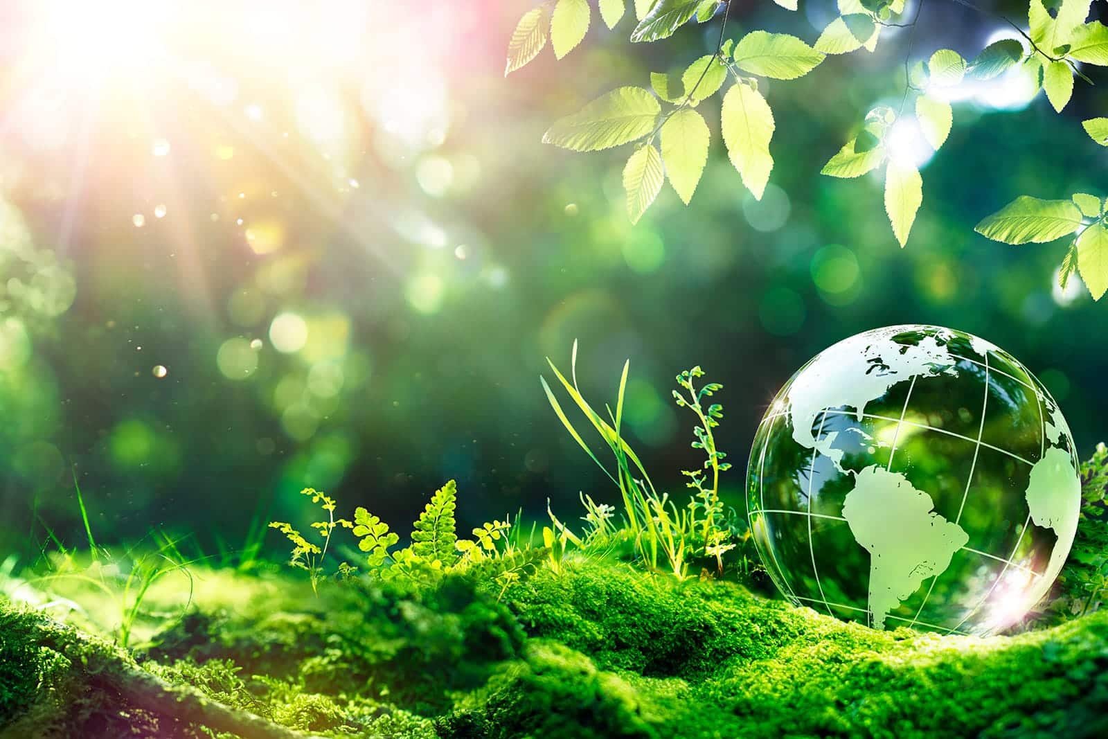 our-story-5-csr our-story corporate social responsibility